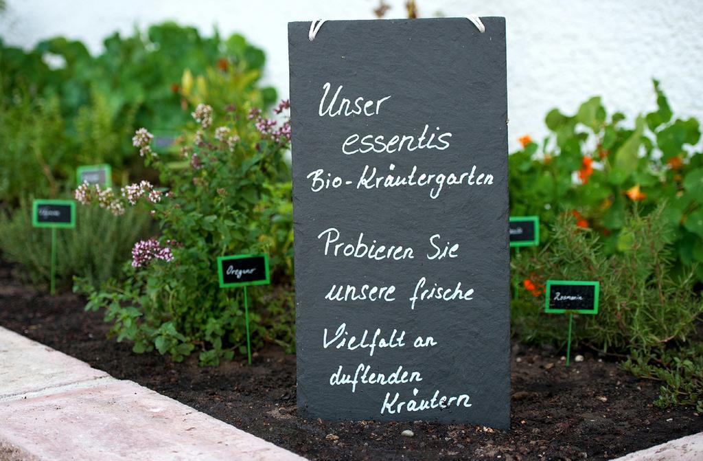 Essentis Ecohotel Berlin Dış mekan fotoğraf